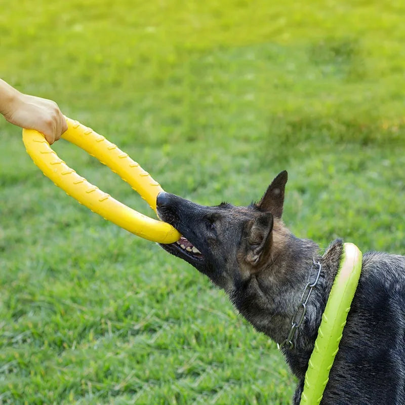 Play & Toys