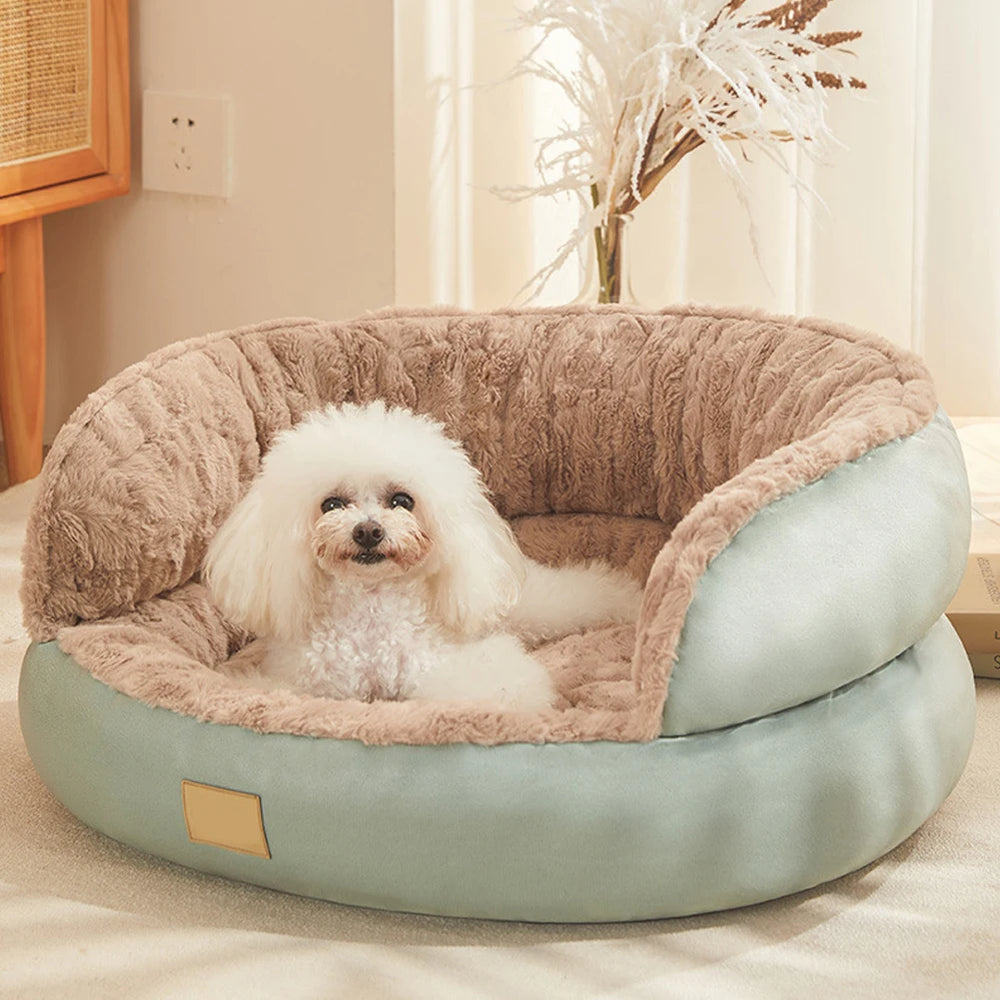 Comfort they’ll love