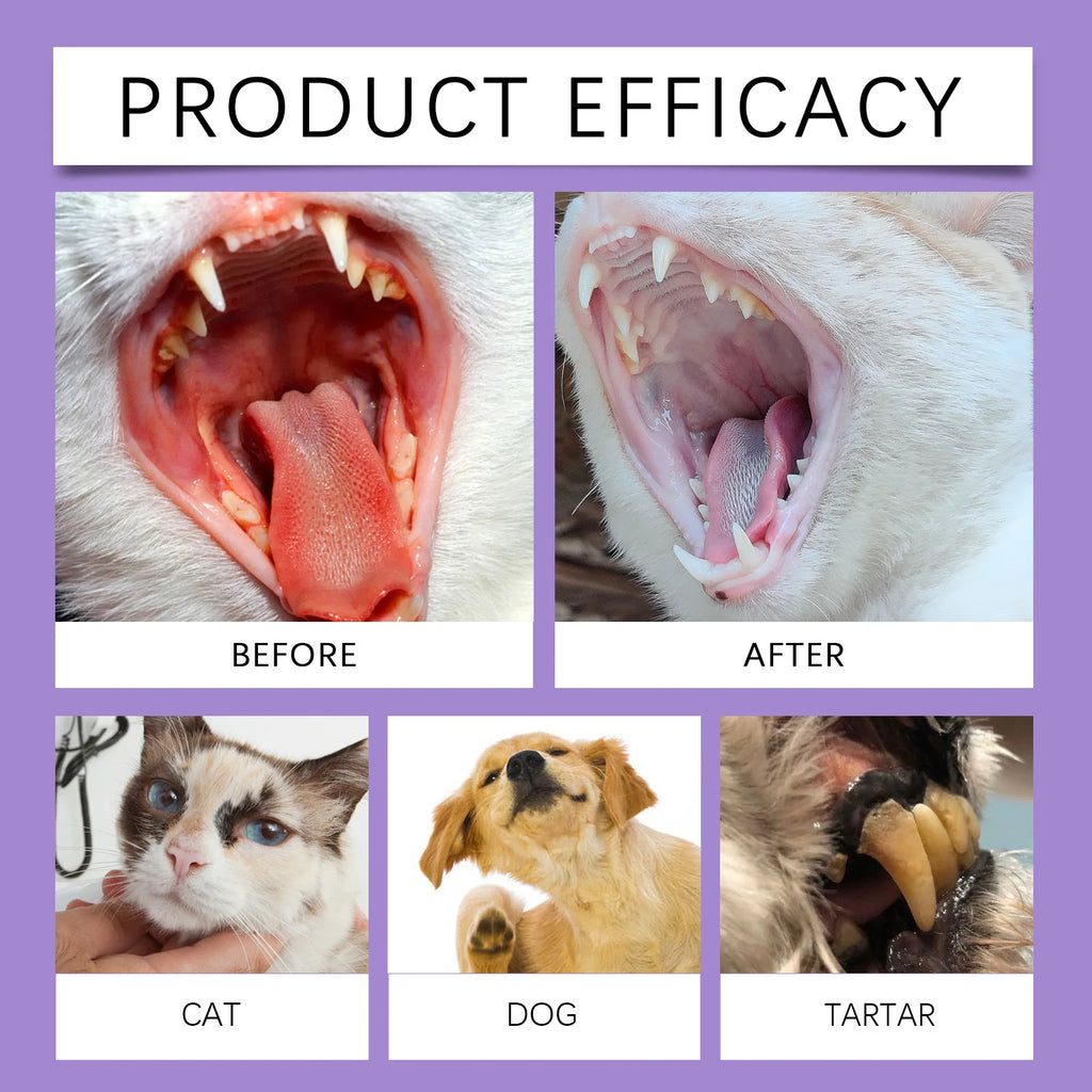 Pet Oral Cleaning Spray for Dogs & Cats 50ml | Breath Freshener & Dental Care