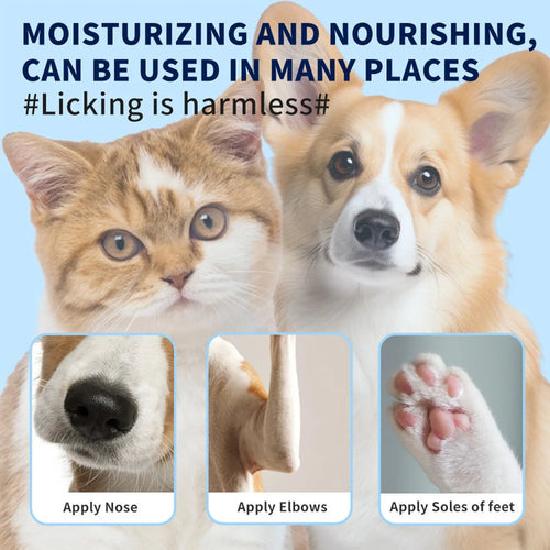 Dog Paw & Nose Balm for Dry Cracked Skin | Natural Repair Care