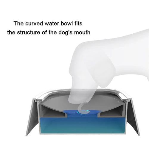 Personalized No-Spill Pet Water Bowl | Anti-Splash Dog & Cat Bowl