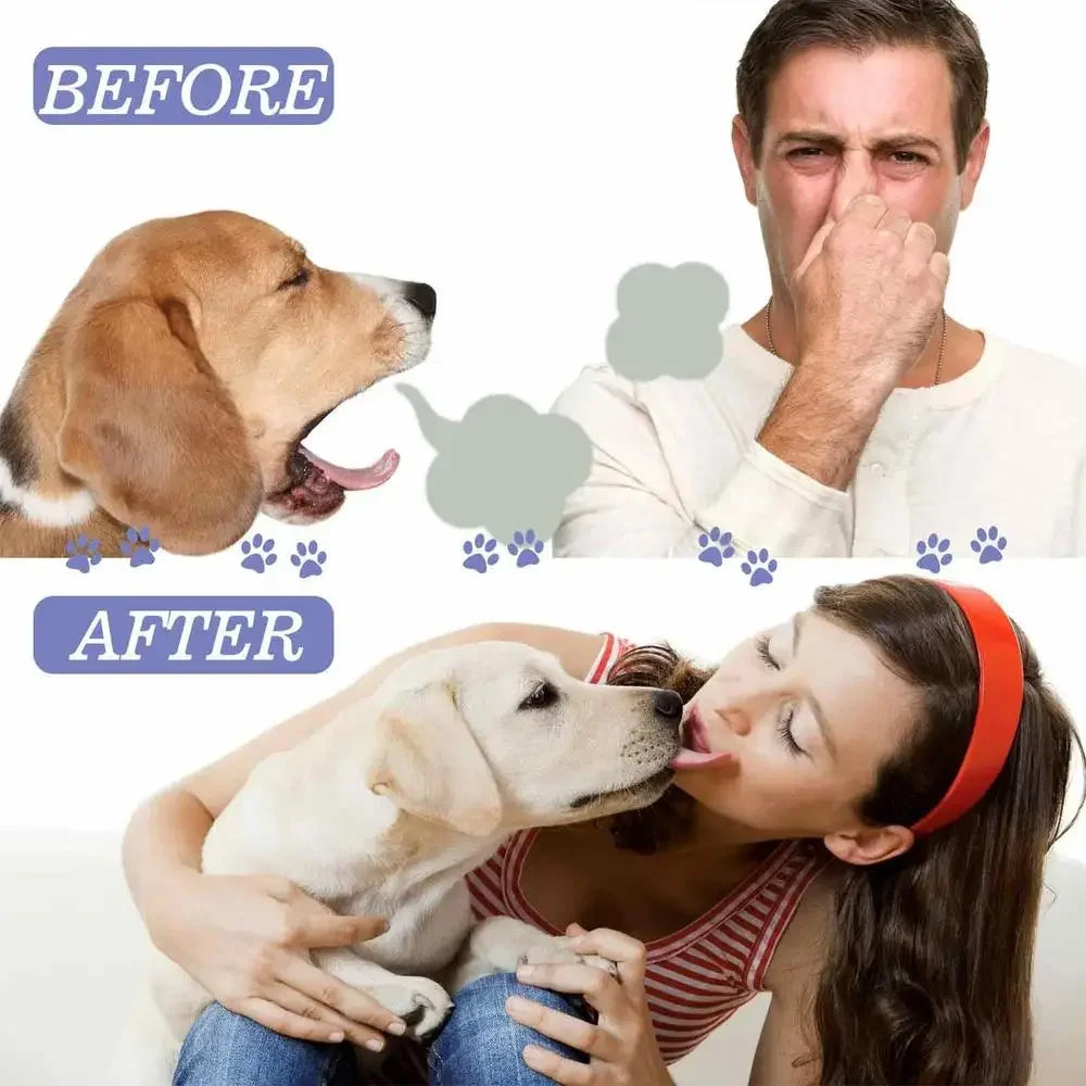Pet Oral Cleaning Spray for Dogs & Cats 50ml | Breath Freshener & Dental Care
