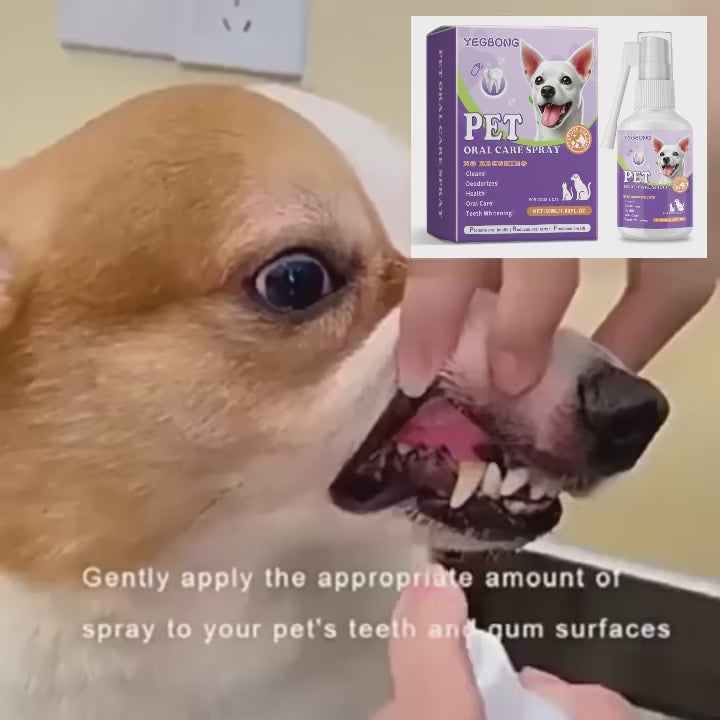 Pet Oral Cleaning Spray for Dogs & Cats 50ml | Breath Freshener & Dental Care